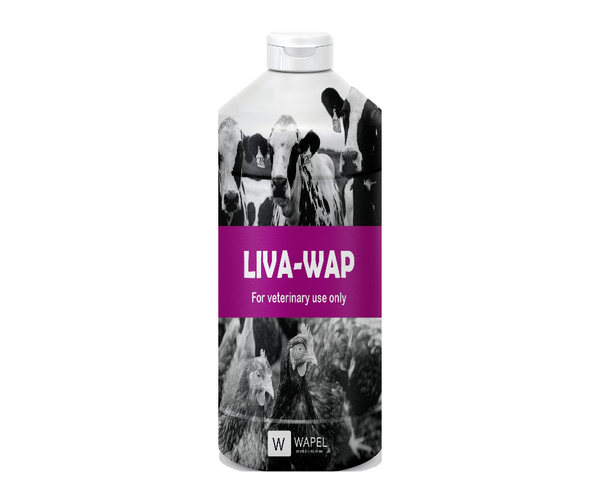 LIVA WAP 1 liter