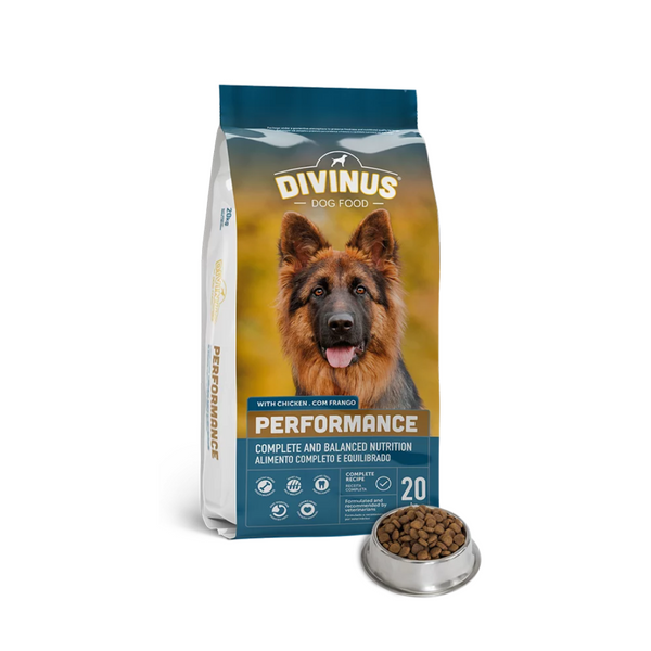 Divinus DOG | performance 20 kg divinus