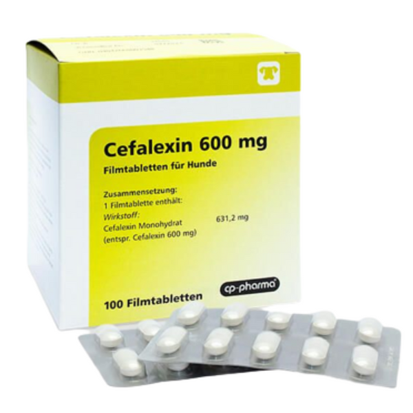 Cefalexin 600 mg