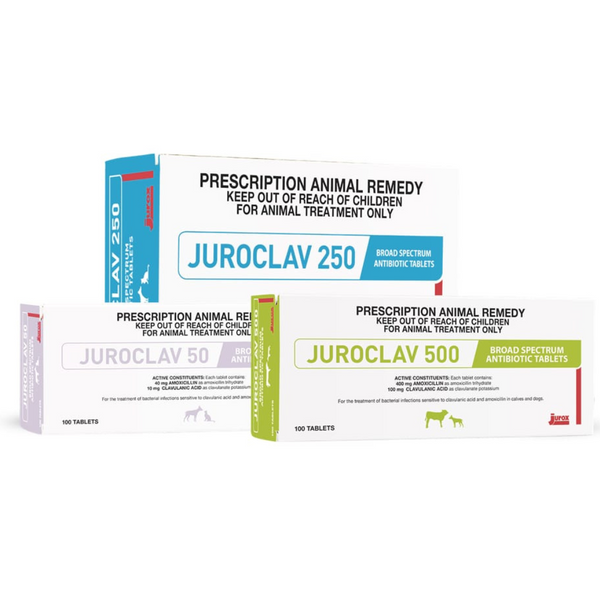 Juroclav 250 mg ( 250 tablet )